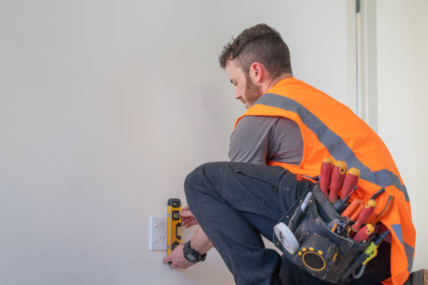 Best Electric Panel Repair  in Rockton, IL
